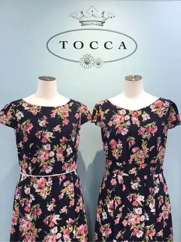 TOCCA 𝒽 コーディネート画像