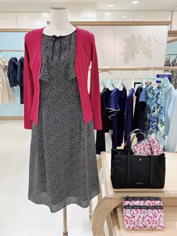 TOCCA 𝓕 コーディネート画像