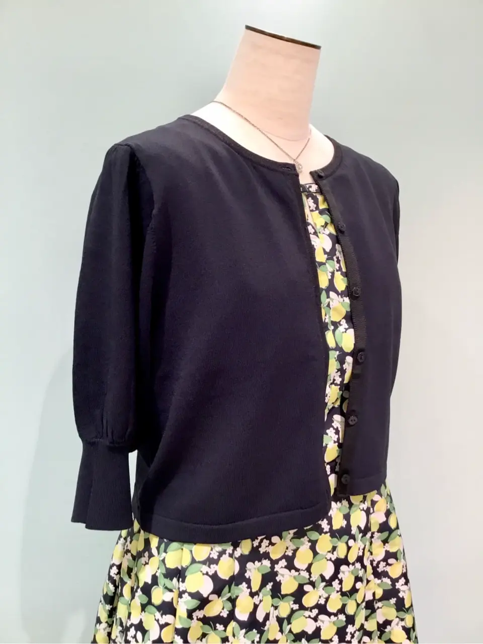 TOCCA Y.K コーディネート画像