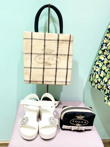 TOCCA C.K  コーディネート画像