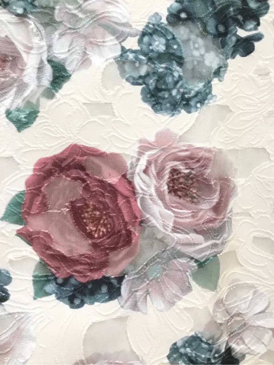 TOCCA 𝒽 コーディネート画像