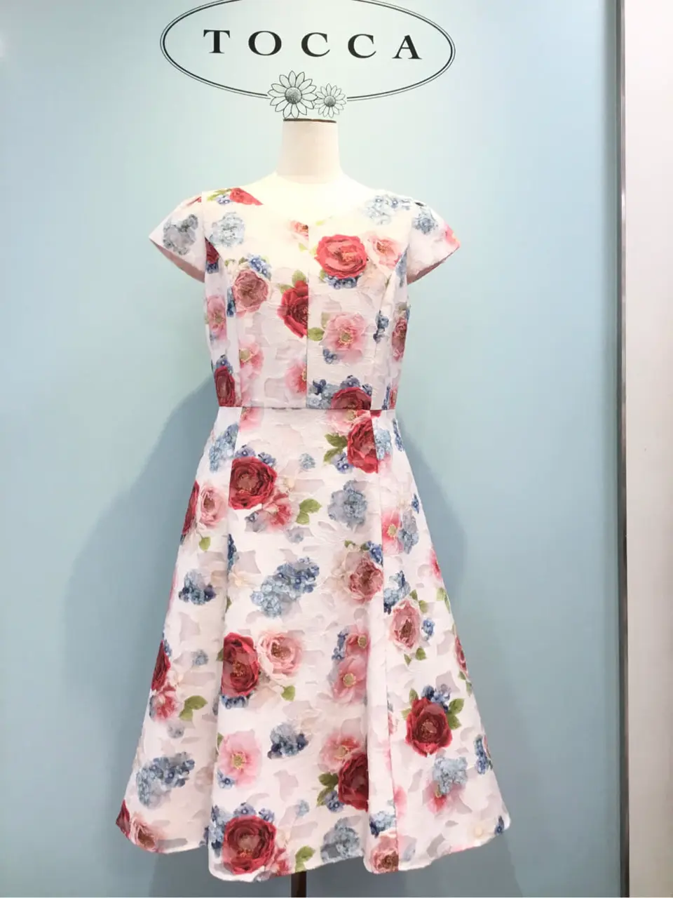 TOCCA 𝒽 コーディネート画像