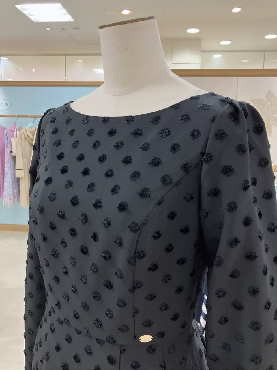 TOCCA 𝓕 コーディネート画像