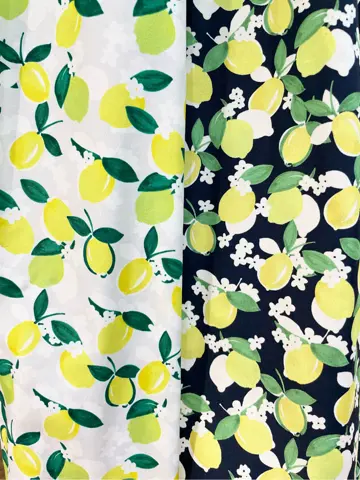 TOCCA G コーディネート画像