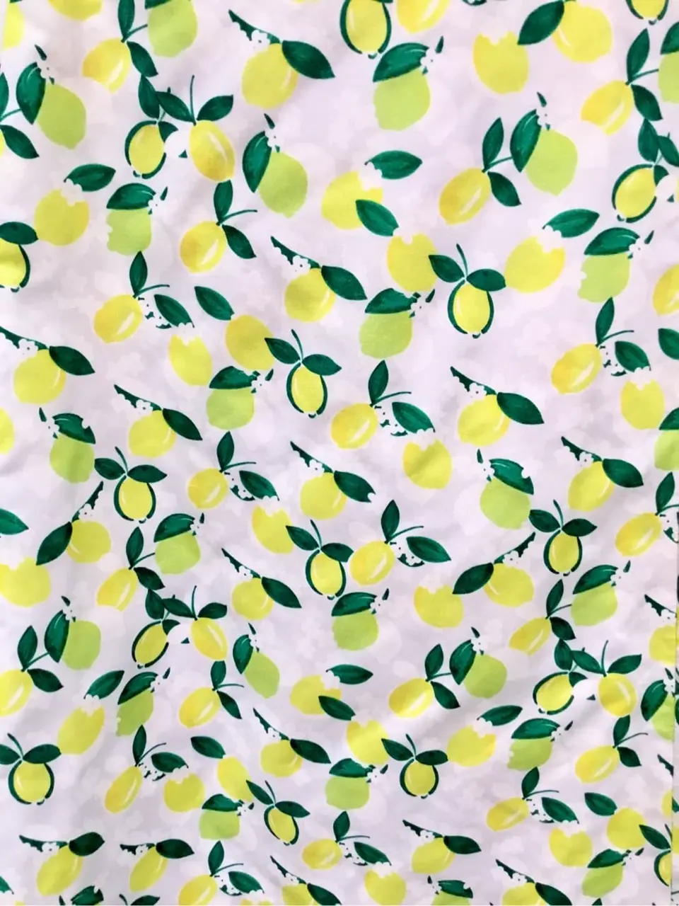 TOCCA Y.K コーディネート画像