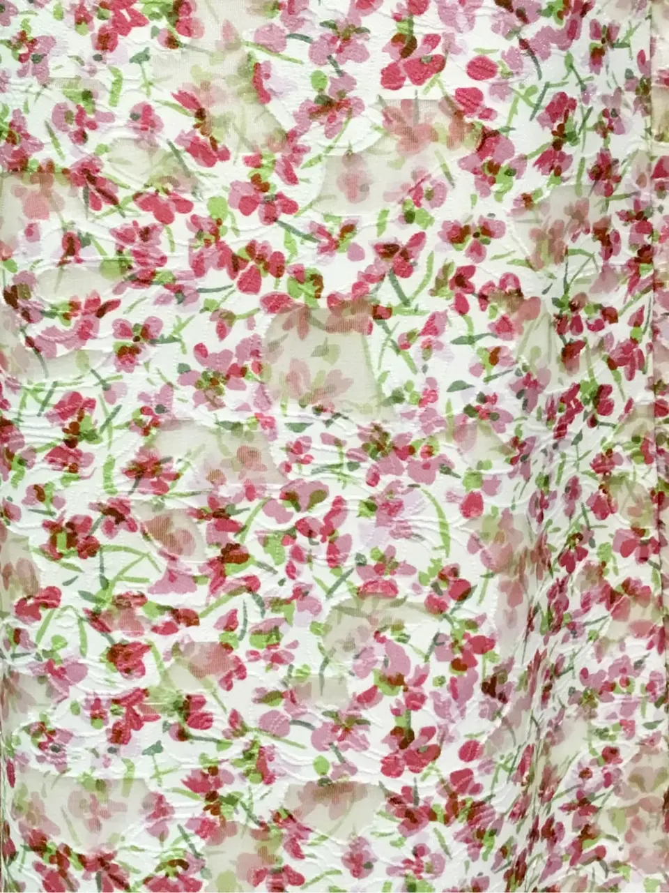 TOCCA Y.K コーディネート画像