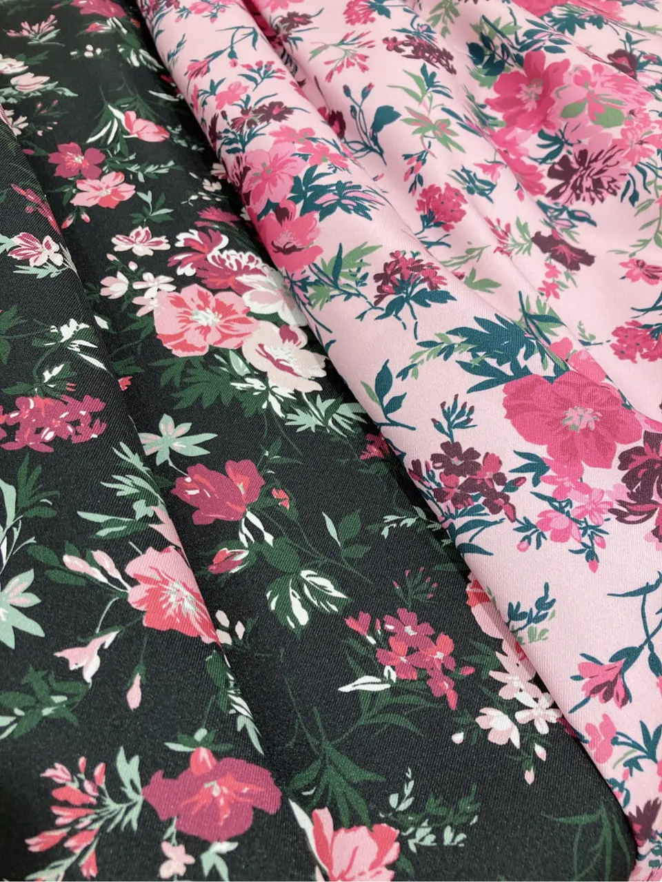 TOCCA 𝓕 コーディネート画像