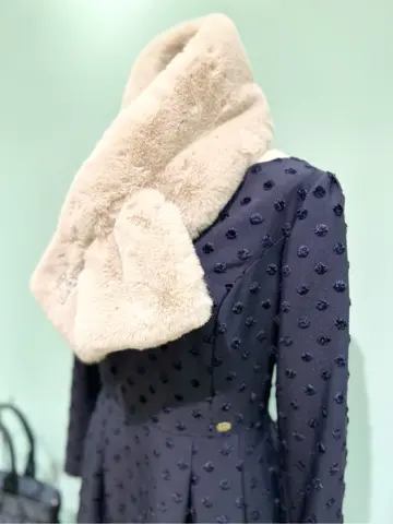 TOCCA C.K  コーディネート画像