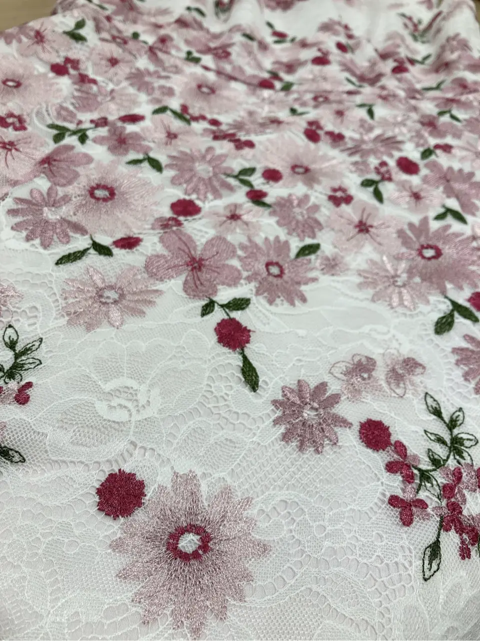 TOCCA 𝓕 コーディネート画像