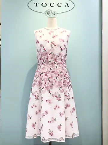 TOCCA 𝒽 コーディネート画像