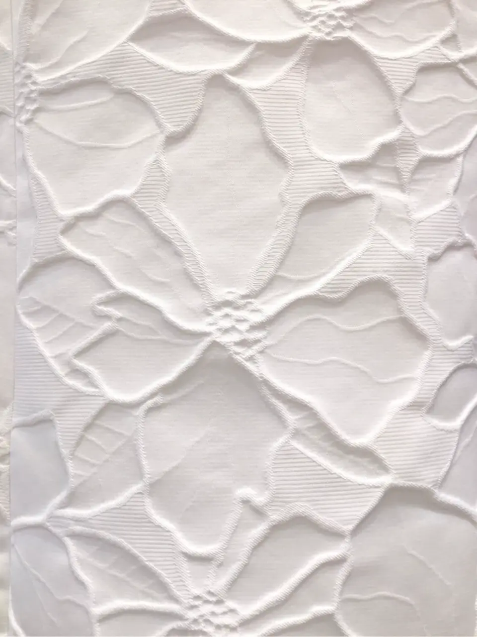 TOCCA 𝒽 コーディネート画像