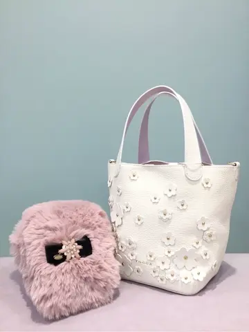 TOCCA 𝒽 コーディネート画像