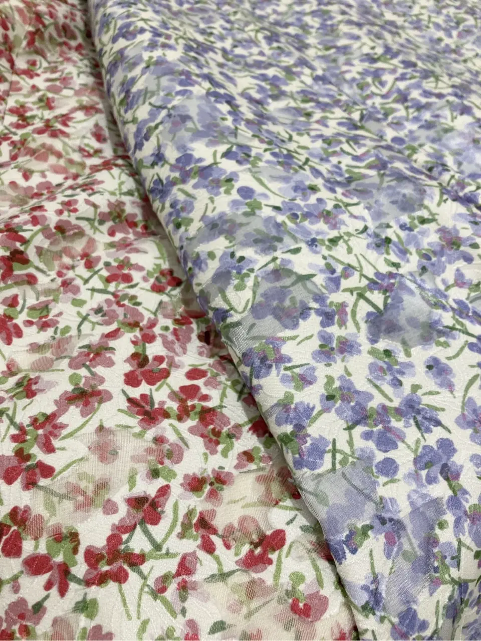 TOCCA 𝓕 コーディネート画像