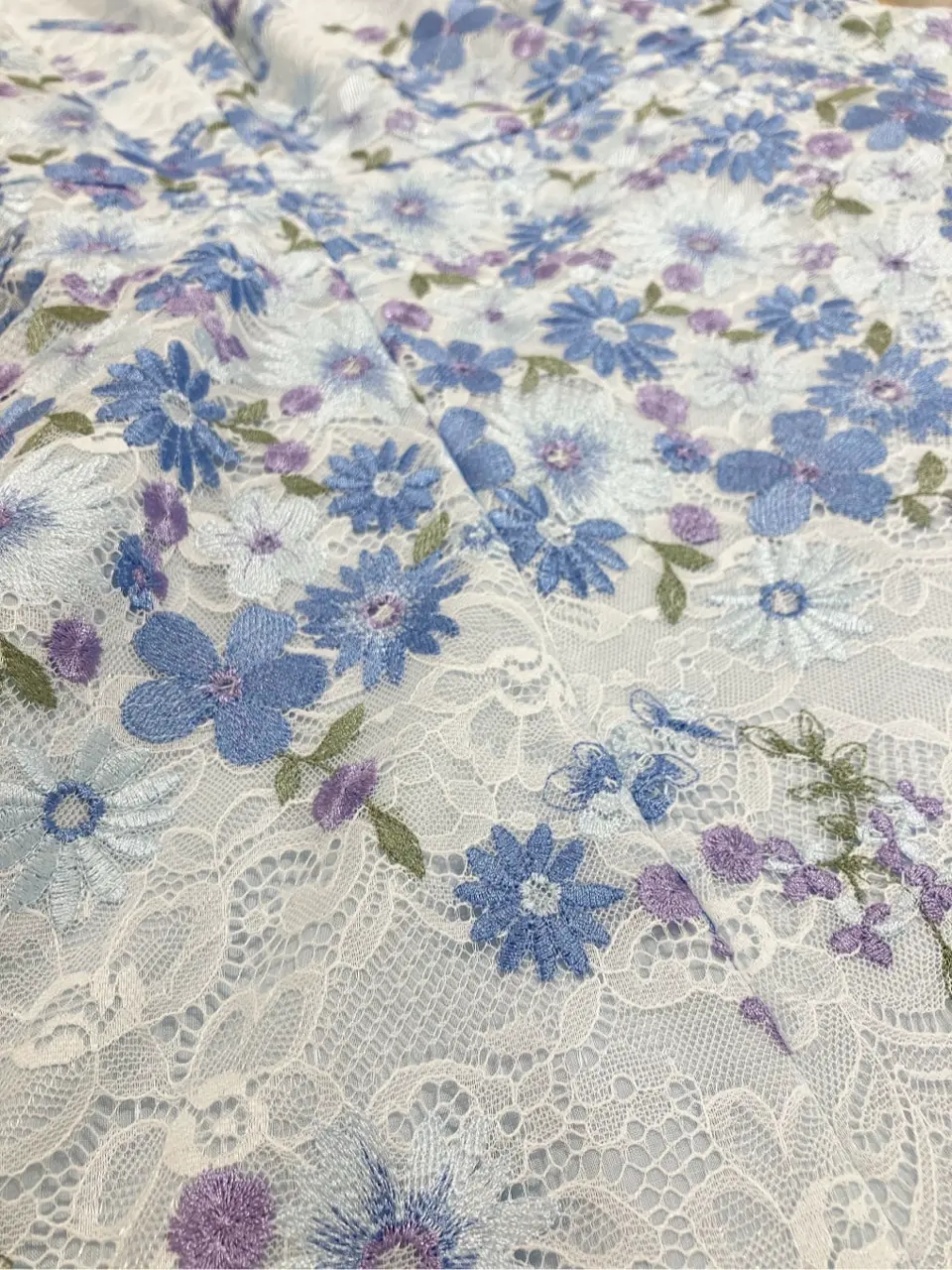 TOCCA 𝓕 コーディネート画像