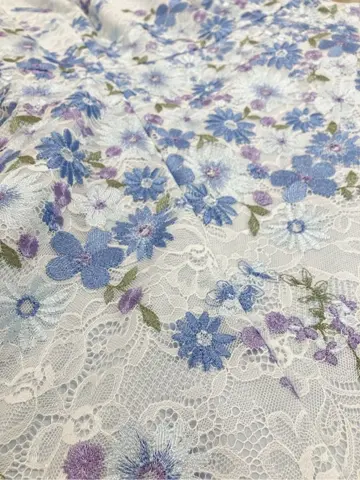 TOCCA 𝓕 コーディネート画像