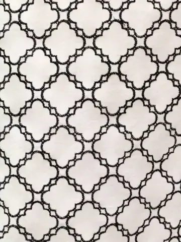 TOCCA Y.K コーディネート画像