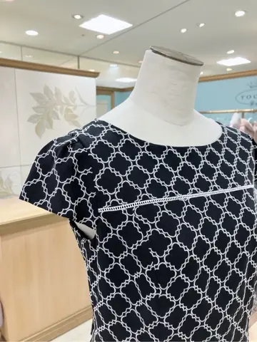 TOCCA 𝓕 コーディネート画像