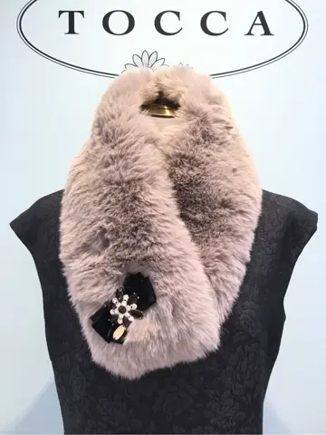 TOCCA 𝒽 コーディネート画像