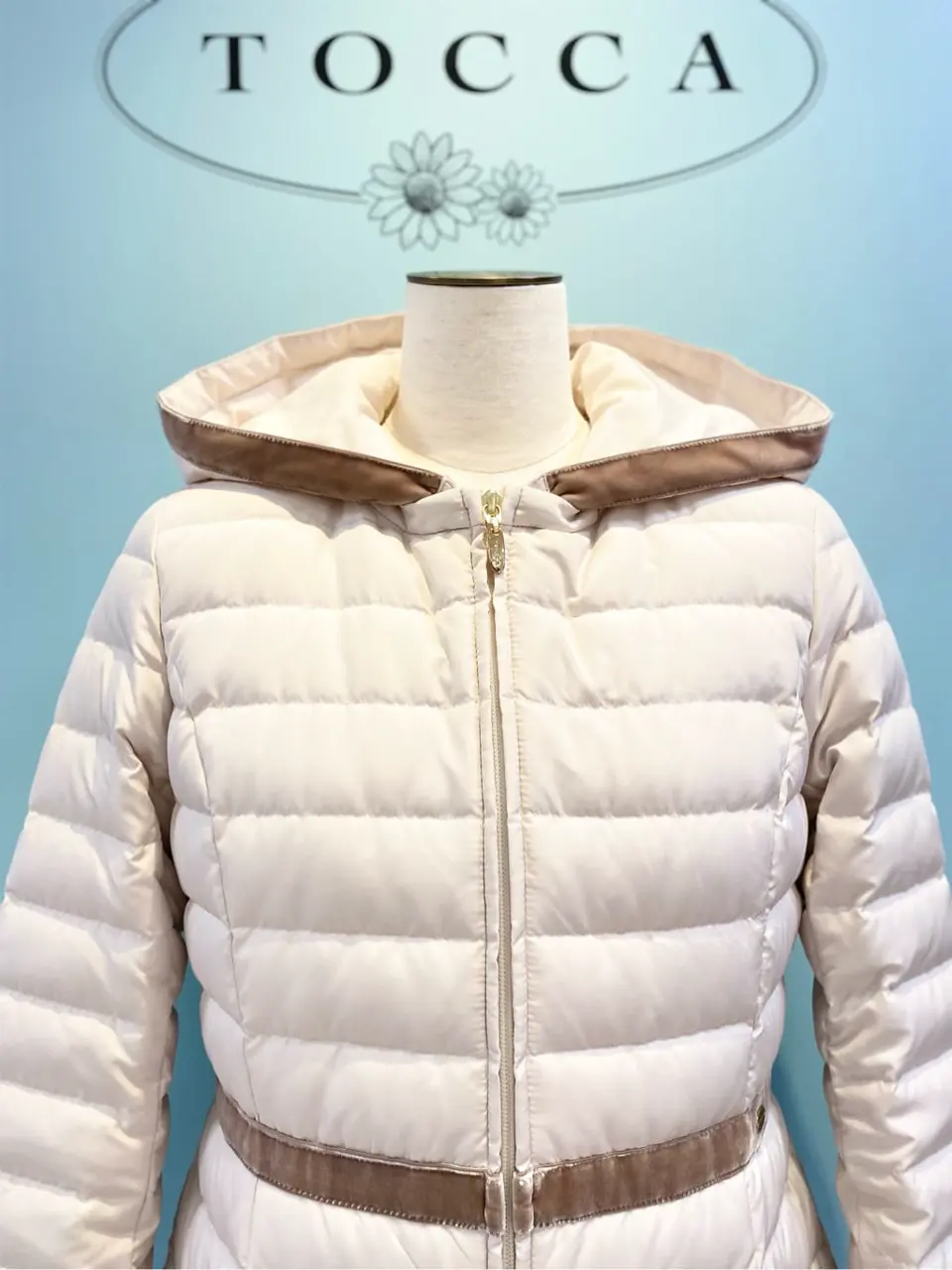 TOCCA 𝒽 コーディネート画像