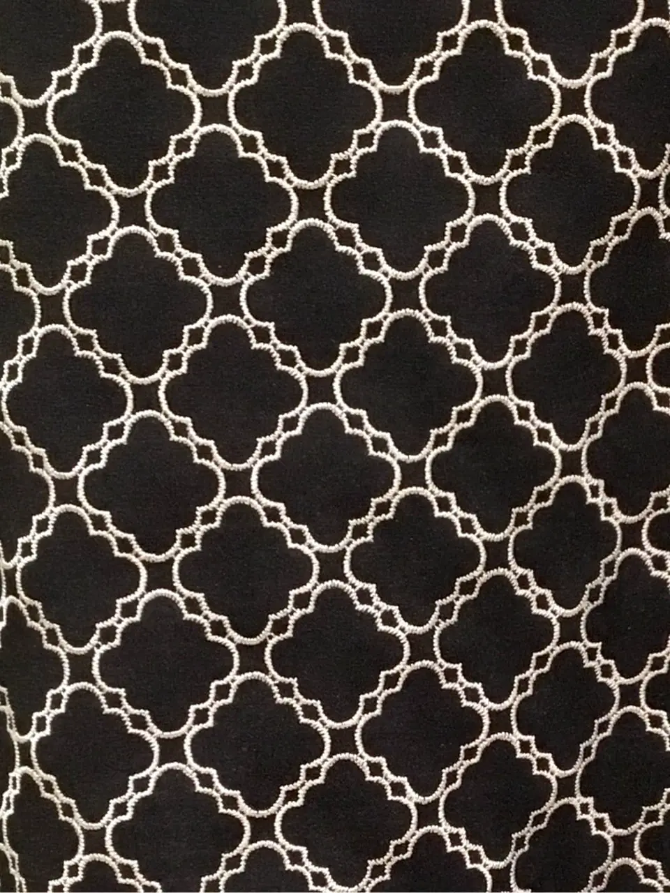 TOCCA Y.K コーディネート画像