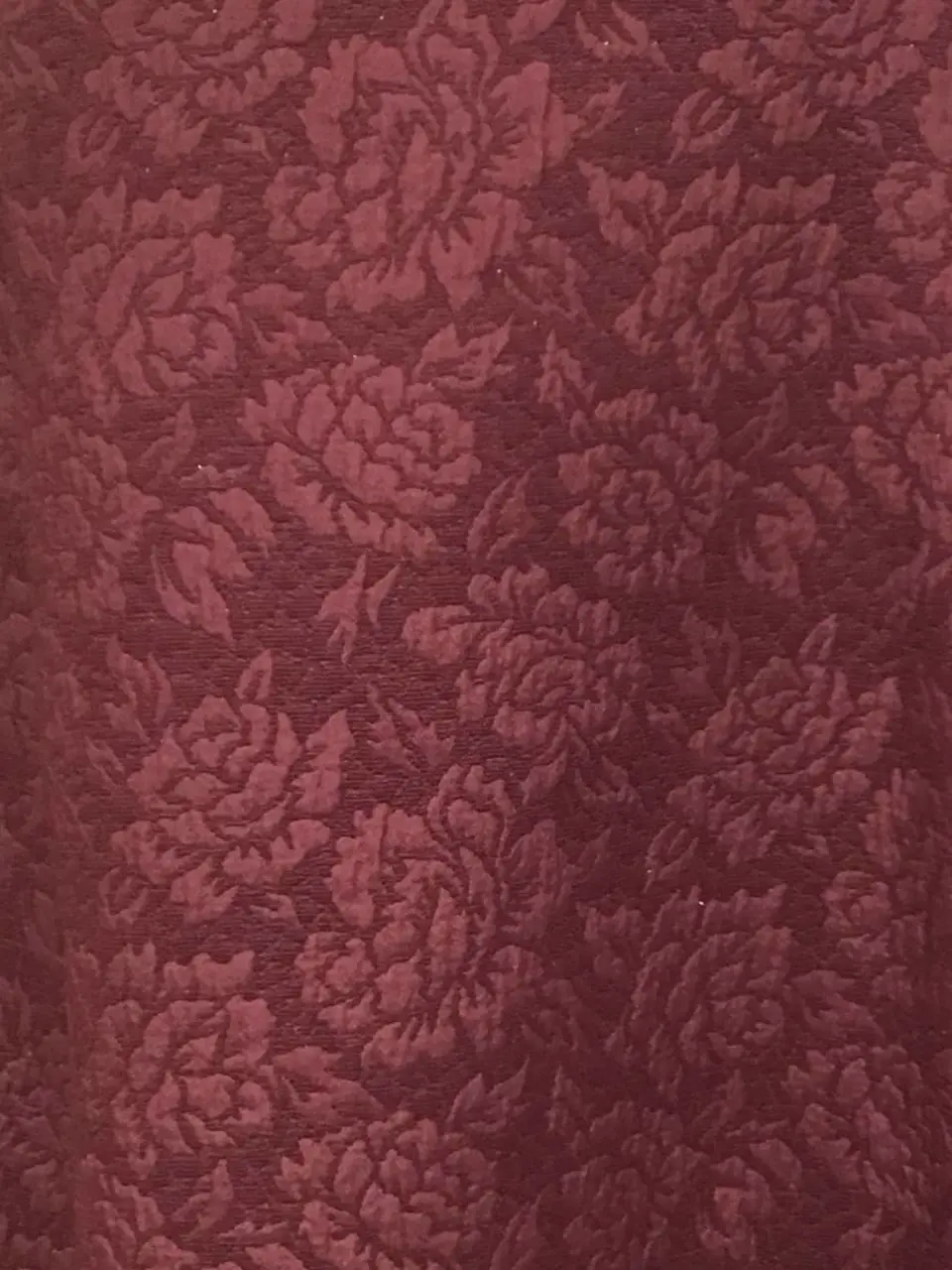 TOCCA Y.K コーディネート画像