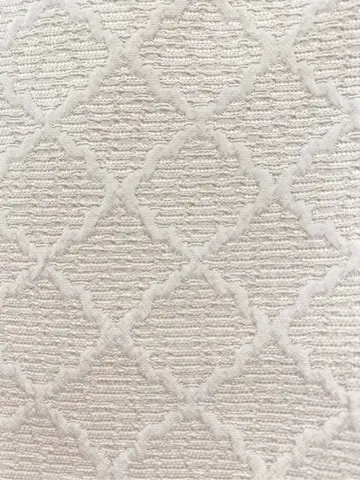 TOCCA 𝒽 コーディネート画像