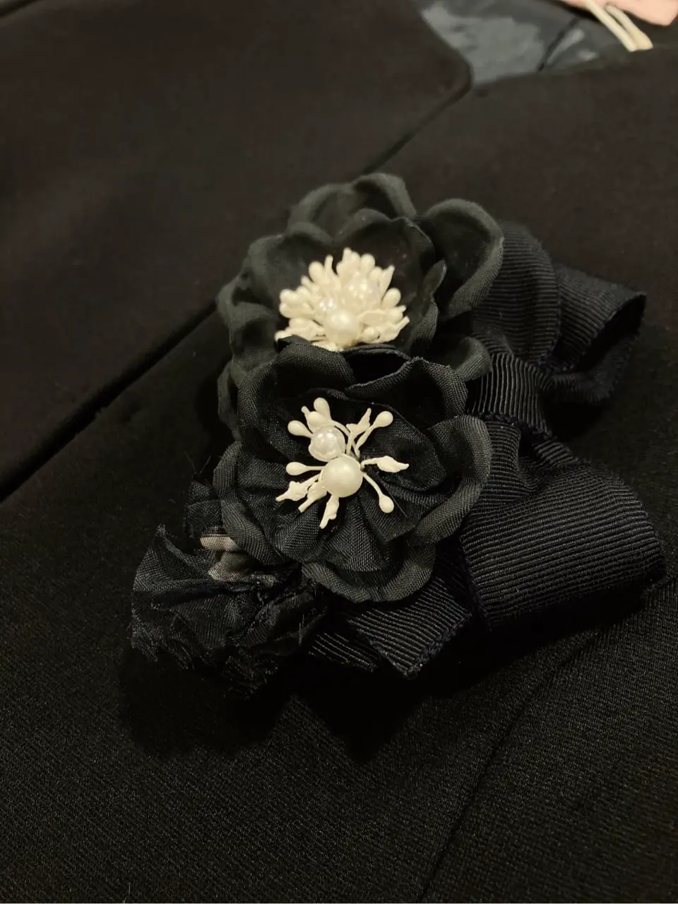 TOCCA 𝓕 コーディネート画像