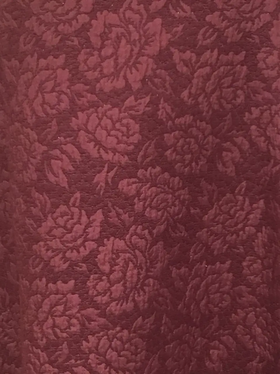 TOCCA Y.K コーディネート画像