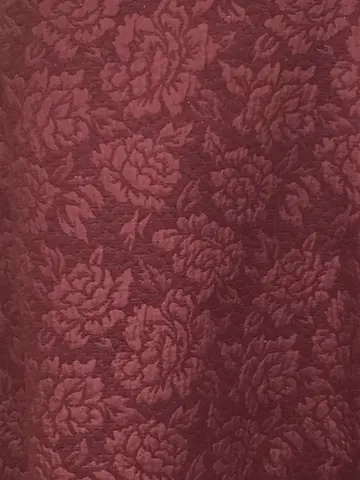 TOCCA Y.K コーディネート画像