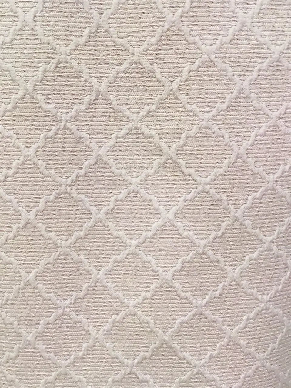 TOCCA Y.K コーディネート画像