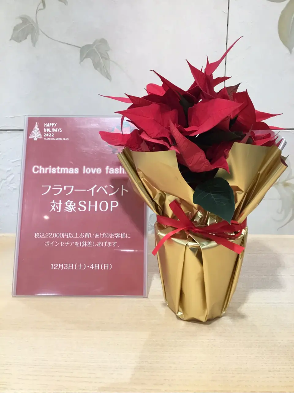 TOCCA ｋｉｍ コーディネート画像