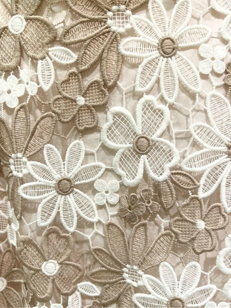 TOCCA C.K  コーディネート画像