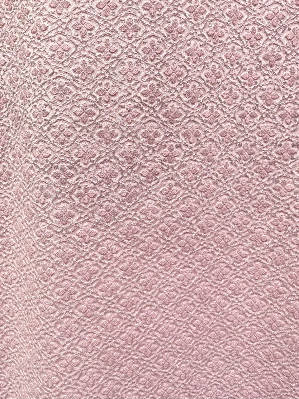 TOCCA C.K  コーディネート画像