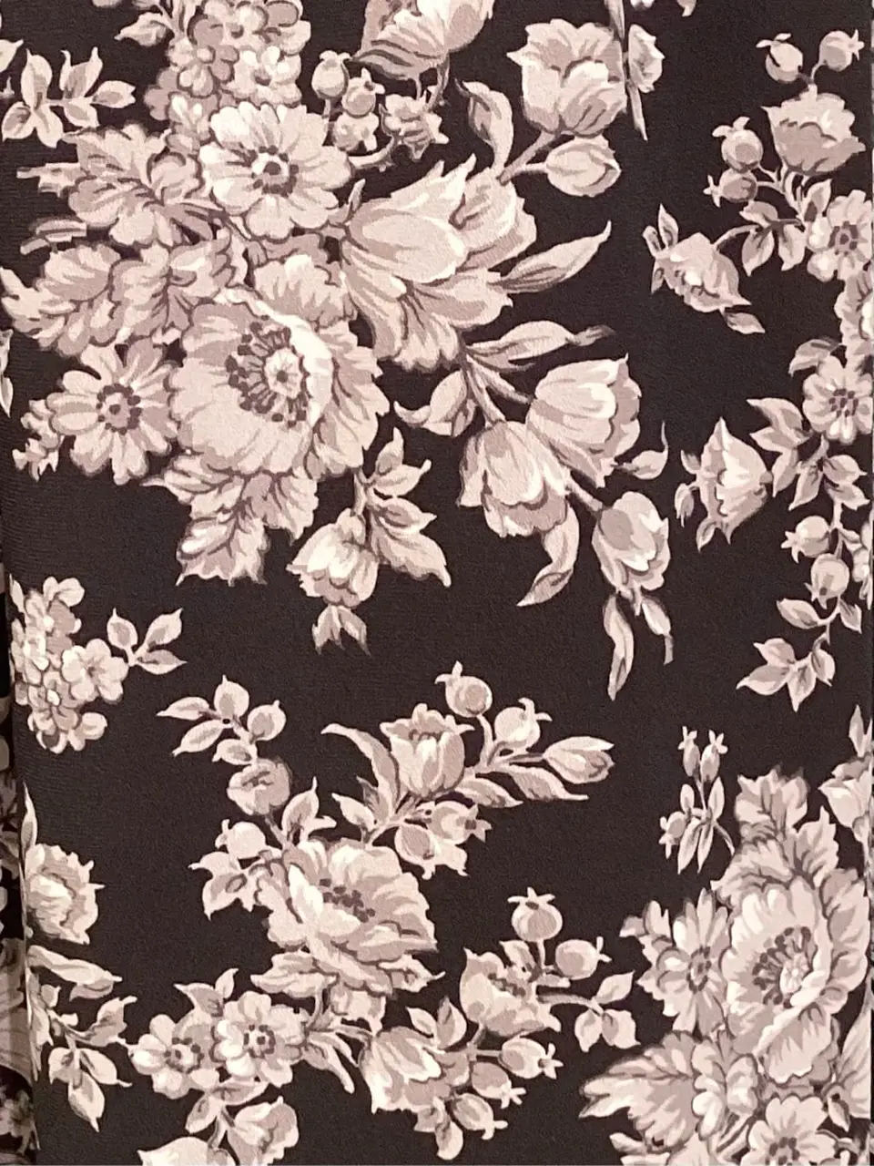 TOCCA Y.K コーディネート画像