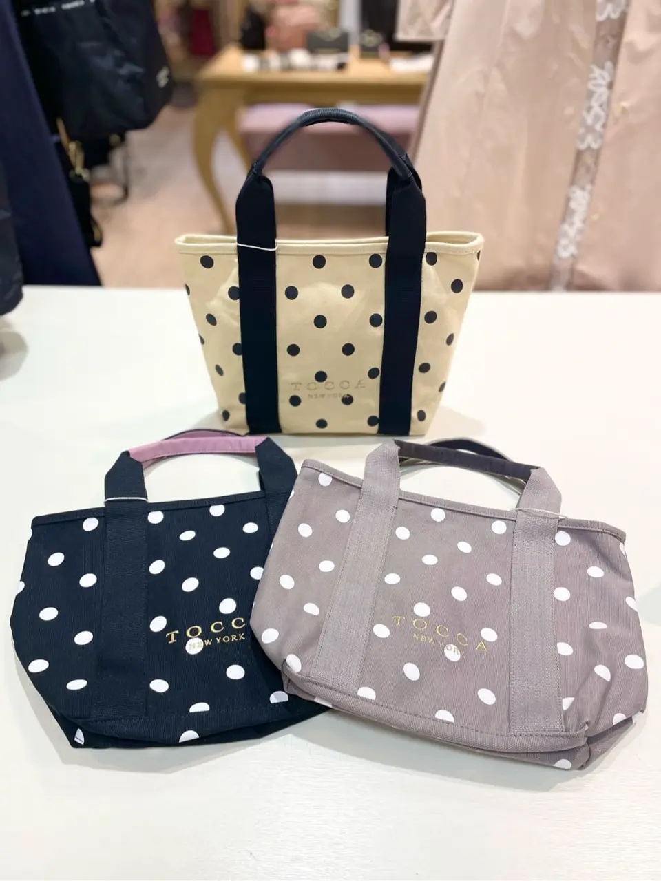 TOCCA G コーディネート画像