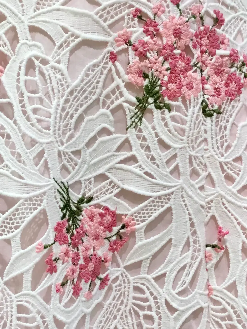 TOCCA Y.K コーディネート画像