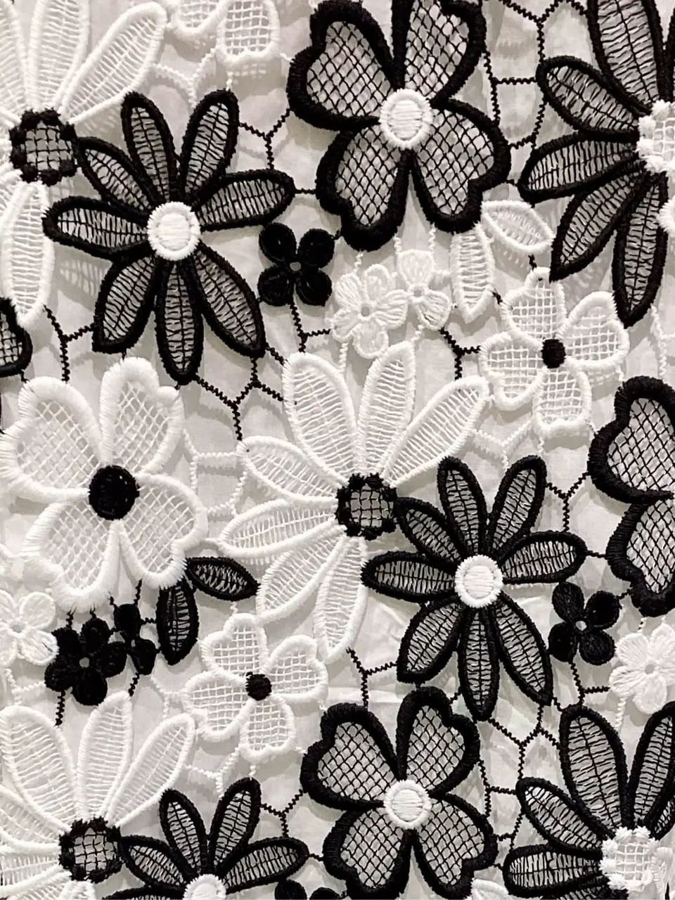 TOCCA Y.K コーディネート画像