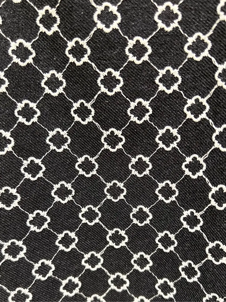 TOCCA C.K  コーディネート画像