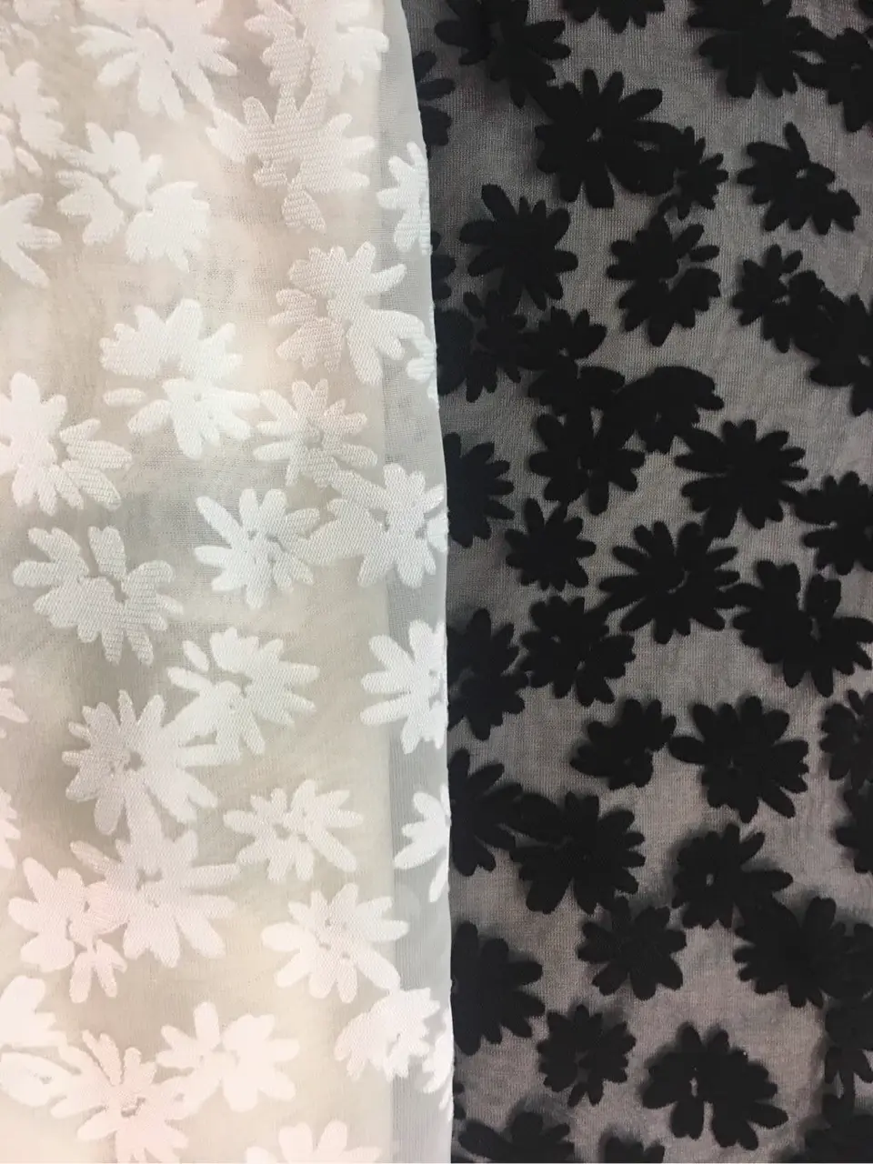 TOCCA スタッフY コーディネート画像