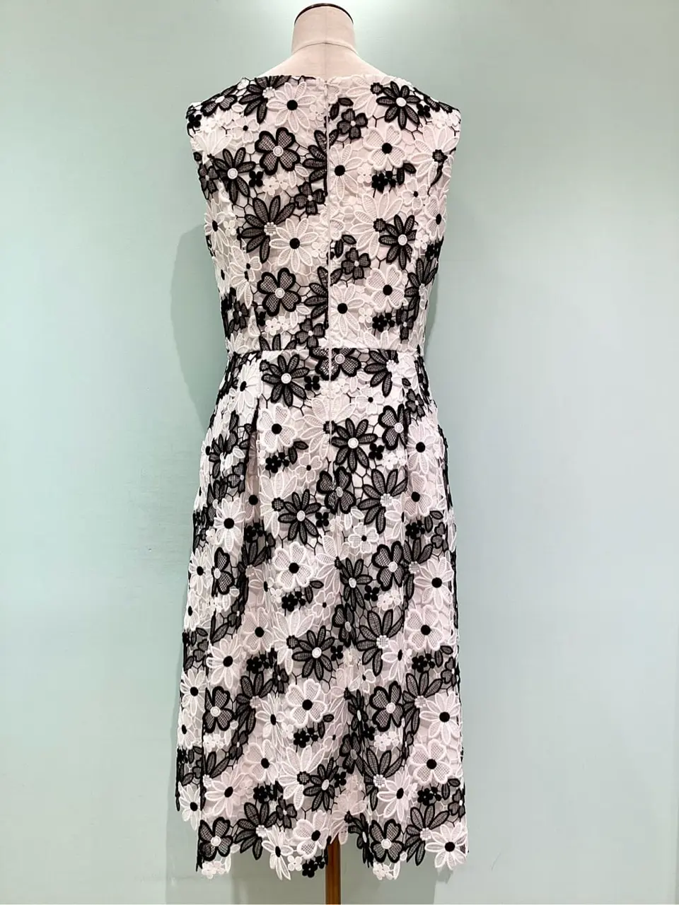 TOCCA Y.K コーディネート画像