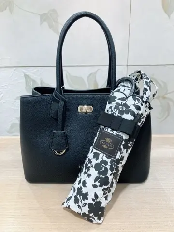 TOCCA 𝓕 コーディネート画像