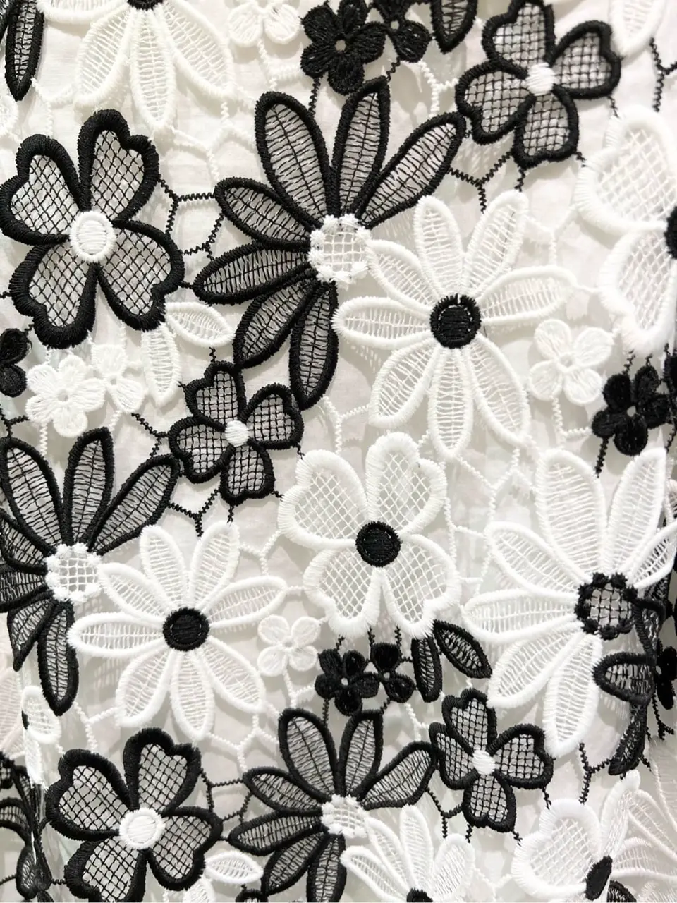 TOCCA C.K  コーディネート画像