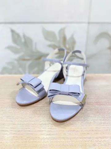 TOCCA 𝒽 コーディネート画像