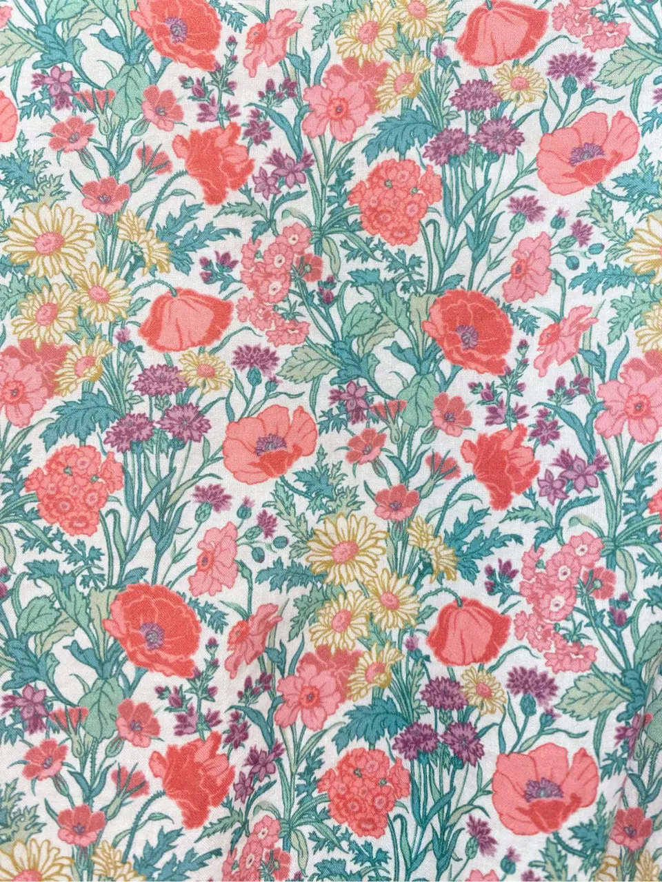 TOCCA 𝒽 コーディネート画像