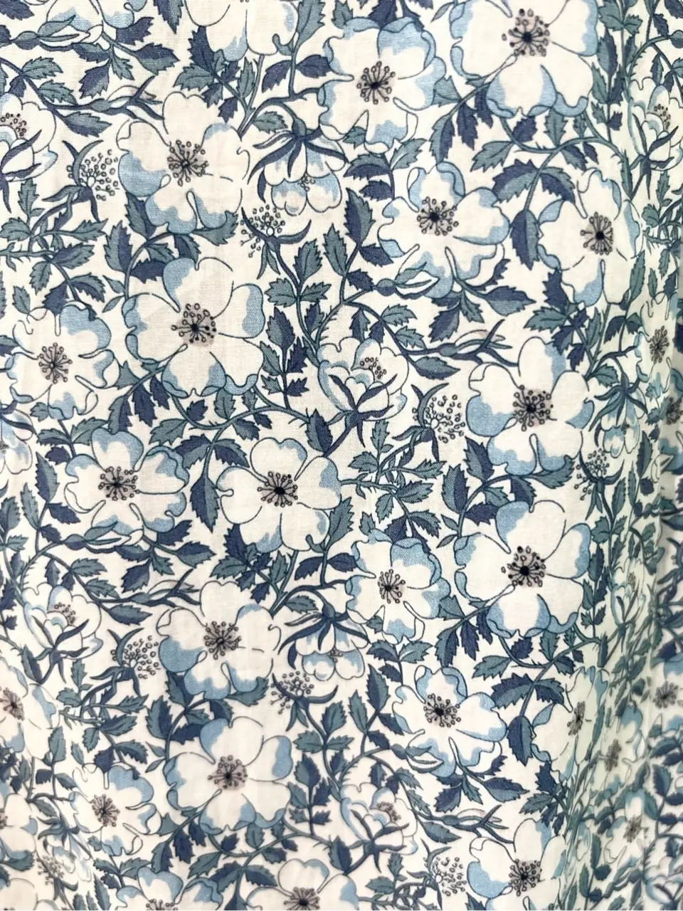 TOCCA C.K  コーディネート画像