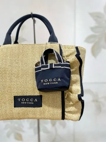 TOCCA 𝒽 コーディネート画像