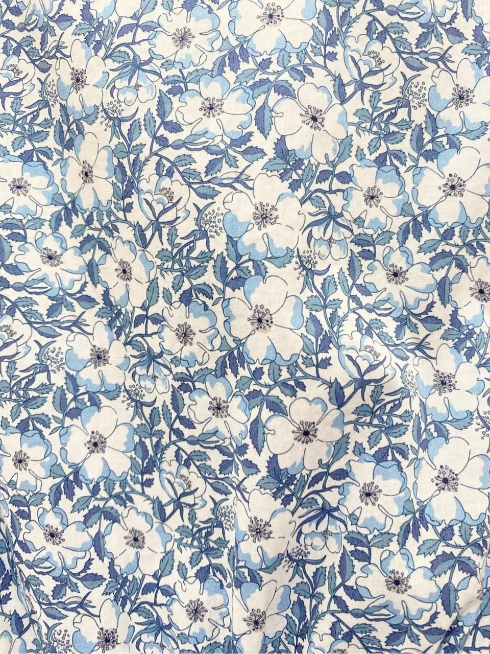 TOCCA 𝒽 コーディネート画像