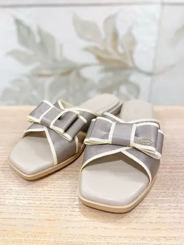 TOCCA 𝒽 コーディネート画像