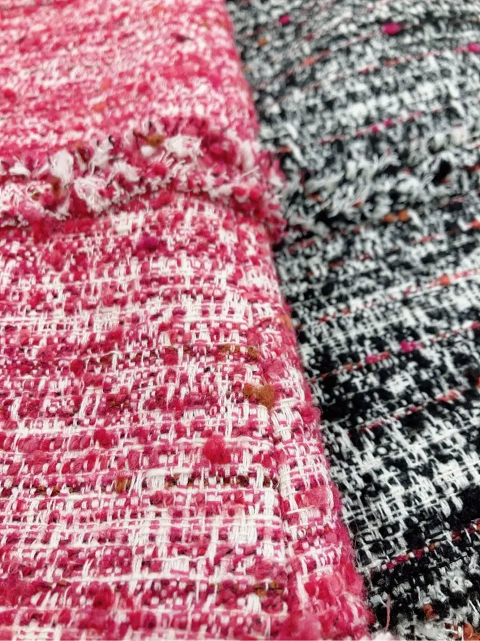 TOCCA 𝓕 コーディネート画像