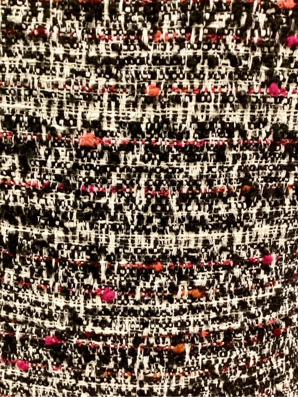 TOCCA Y.K コーディネート画像